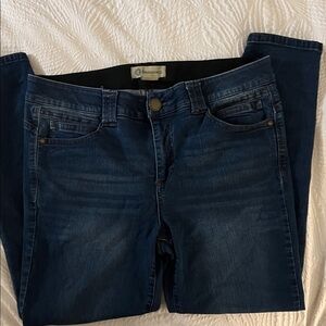 Silver Jeans Women's Dark Indigo Skinny Jeans